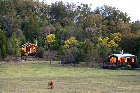 Wisteria Cottages