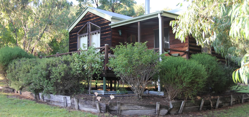 Welcome to Wisteria Cottage